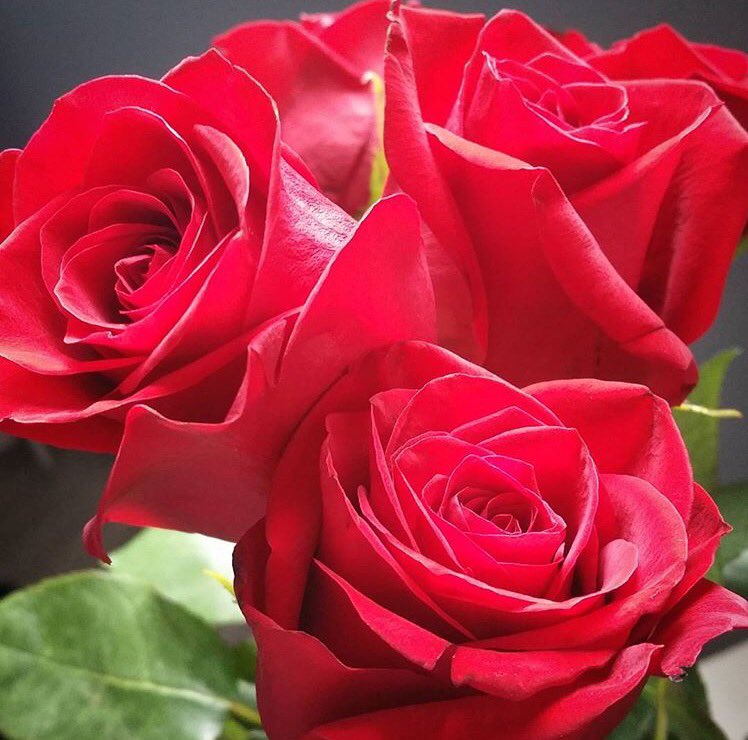 aysem_046's tweet photo. #FaziletAyı RUHLARIMIZ HUZUR BULSUN,SOFRALARIMIZ ANLAM DOLSUN,RAMAZAN AYIMIZ MÜBAREK OLSUN. #HayırlıRamazanlar #FF https://t.co/vHij2pVITt
