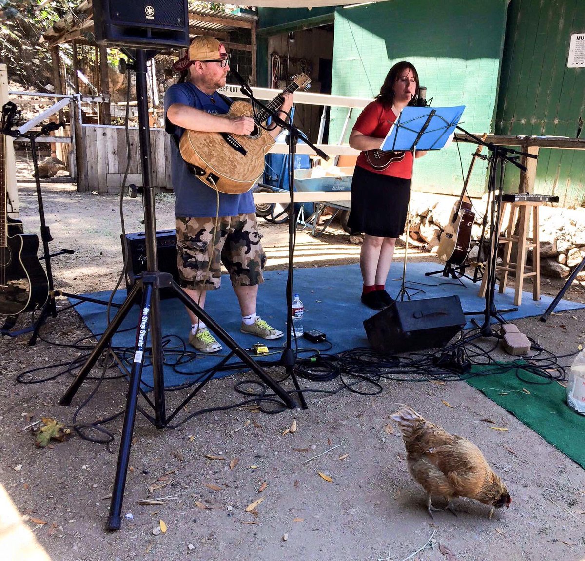 Brill Music tweet media