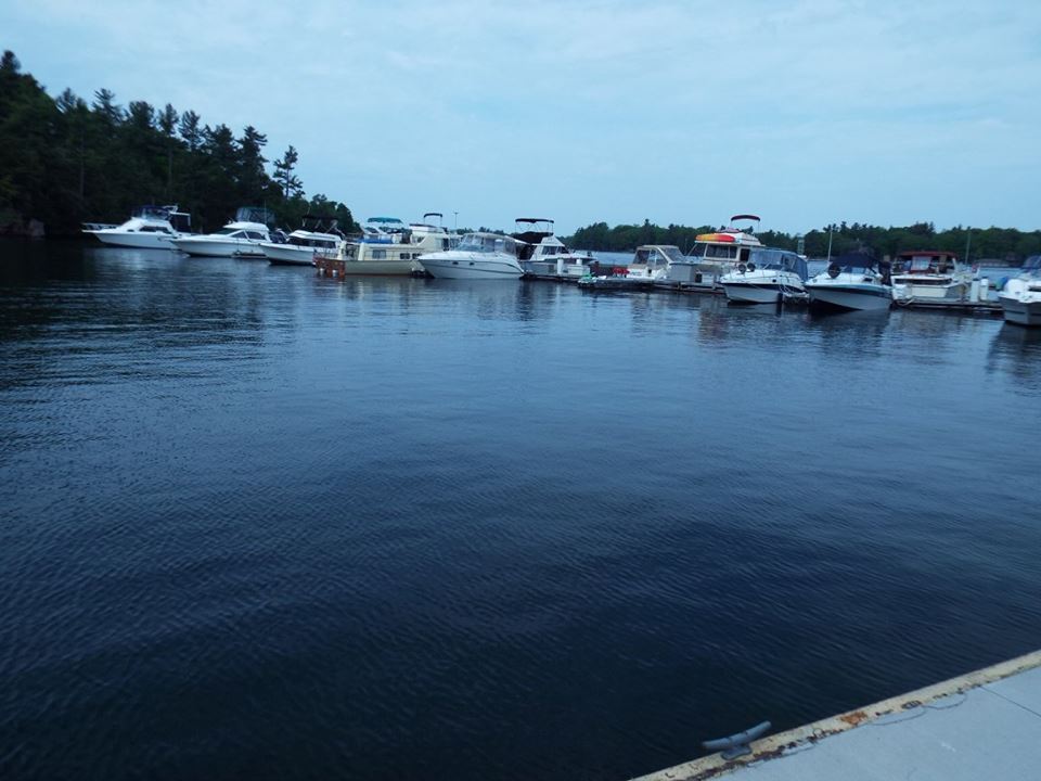 ImThePringleMan tweet media