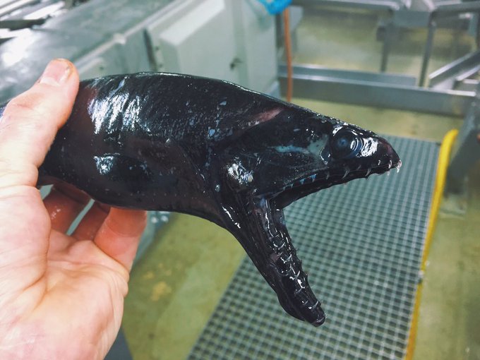 View image on Twitter View image on Twitter