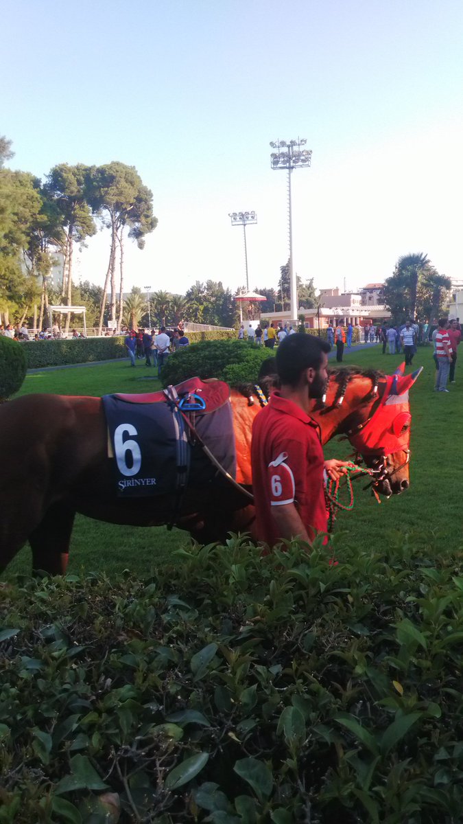 GÜNÜN TEKİ !!! (@gununteki) on Twitter photo 