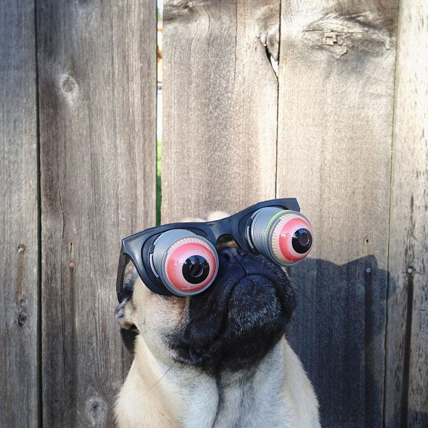 ExperOptic's tweet photo. Eh ben dis donc, on ne l'a pas vu passer ce #Weekend ! On peut la refaire ? :) #Dimanche https://t.co/fTgImpZaYn