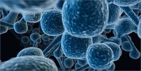 IBM Research tweet media