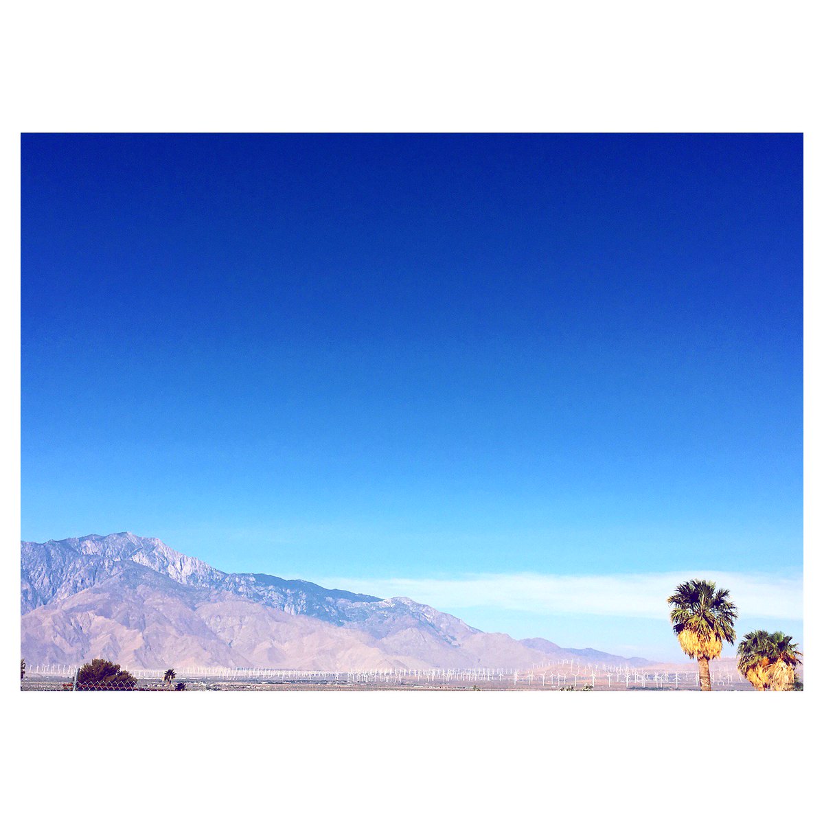 FutureTongue's tweet photo. Greetings from #PalmSprings. Looking forward to our #studiovisit with #painter Johnie Thornton later today. https://t.co/2fqKKsEwiG