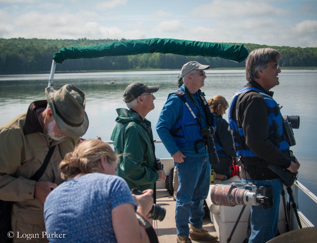 theMLRC's tweet photo. Observers view Bird-life in Messalonskee Marsh https://t.co/nJMXnJHyNF https://t.co/4odyMgsHPf