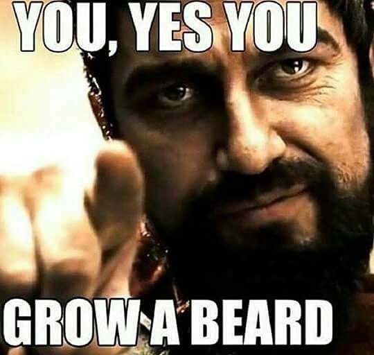 Whatshappenin_g's tweet photo. #300 #Spartans #bearded #growbeards #men https://t.co/2ifO6TOYD2