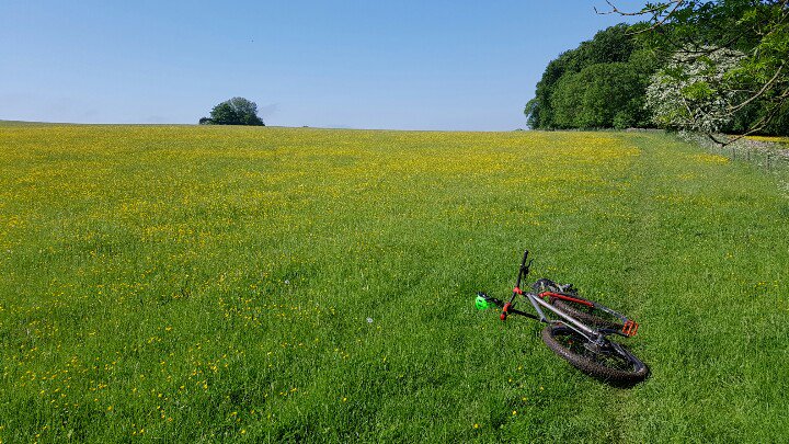 KenOutdoors's tweet photo. A quick jaunt in the Cotswolds this morning. https://t.co/ouswcaBahc
