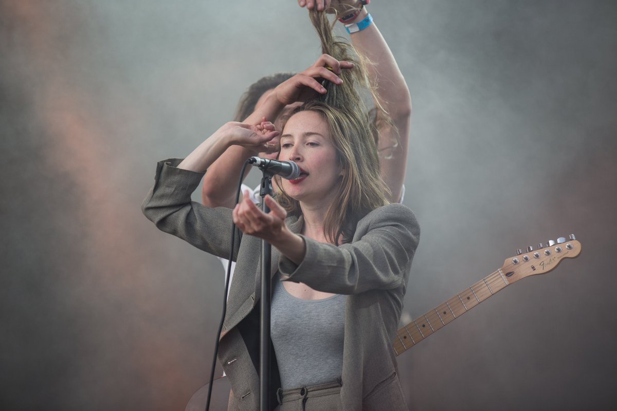 herbivore photography tweet media