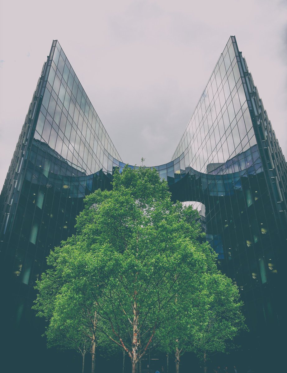 SHadleighSparks's tweet photo. #LondonTreeWeek #LondonCanopy #TreeCharter @TreesforCities @TheStreetTree Outside Batman Bdng More Riverside London https://t.co/Waddx4uW5j