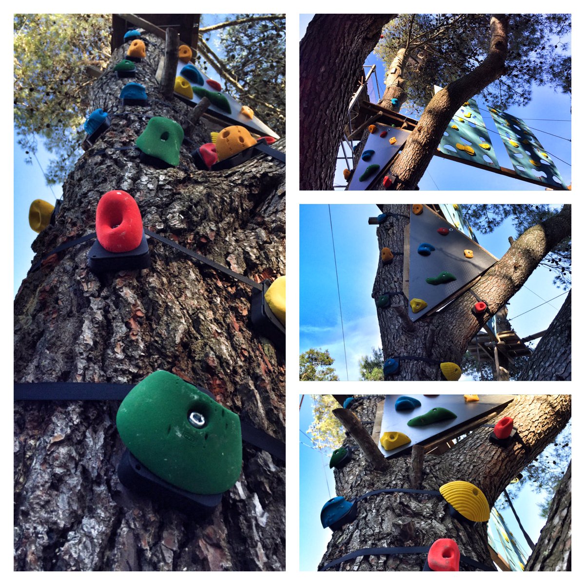 exssta's tweet photo. New rout in #adventurepark at LVL2 #monkeyhardware #zadar_region #croatiafulloflife #2016 #zipline #zadar #croatia https://t.co/axfEOErJUc