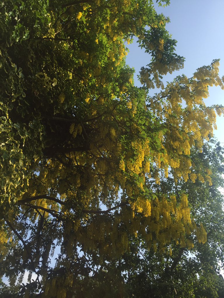 Summer returns to London huzzah