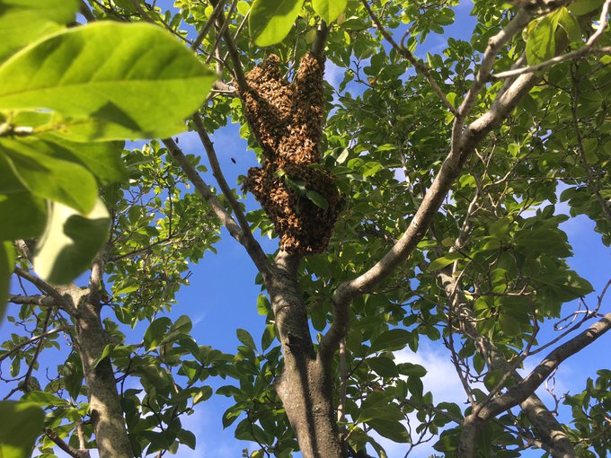 View image on Twitter