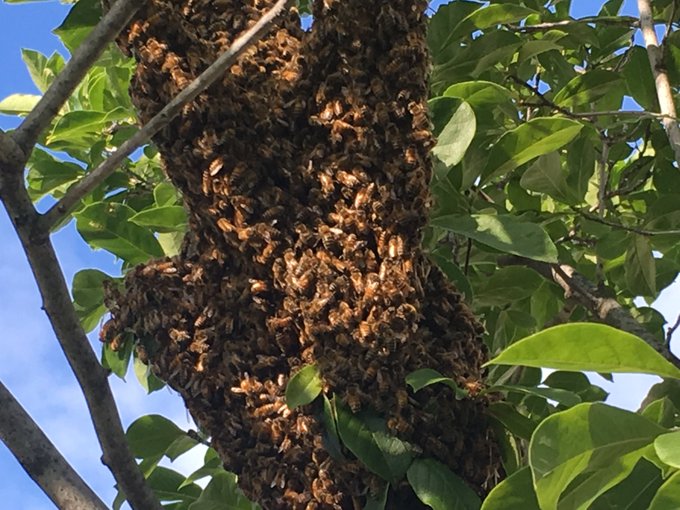 View image on Twitter