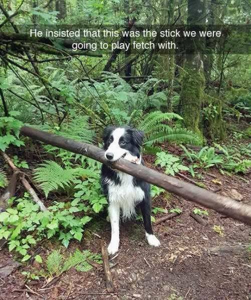 MensHumor's tweet photo. https://t.co/eWQ1ErUWQk