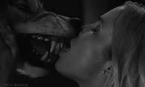 WottonEmily's tweet photo. @ALIEN___D Remember this? #vamptameswolf #brokencurses https://t.co/izwegb90cb