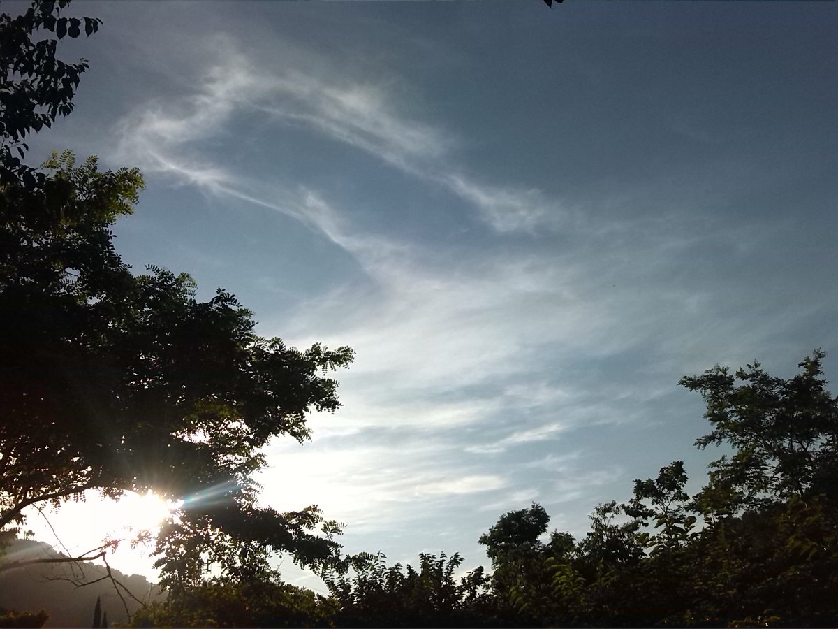 CodeMoco's tweet image. Ja tenim l'estiu aquí. #summer