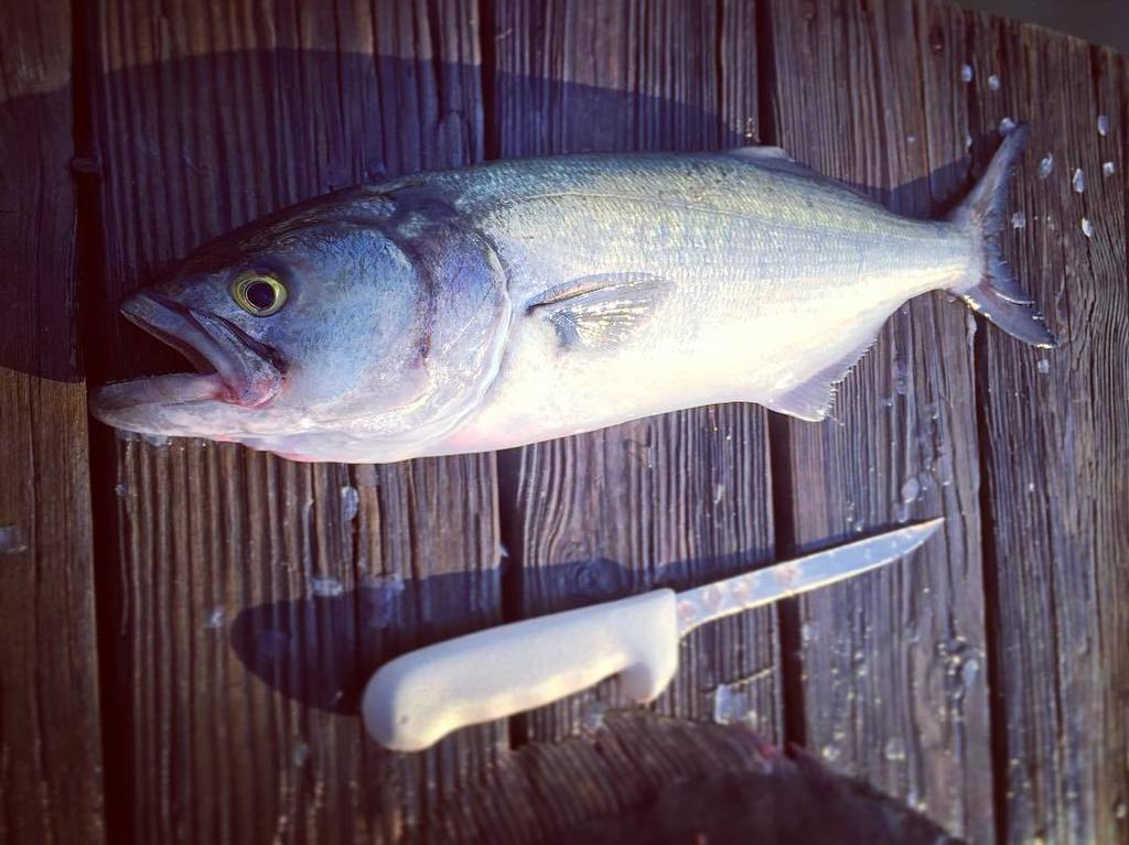 moderngreenhome's tweet photo. Sunday dinner - fresh caught weak fish. 🔹🔹🔹🔹🔹🔹🔹🔹🔹🔹🔹🔹🔹 #hamptons #construction #home #homebuilder #architecture #des… https://t.co/ZXaXAcy6yB