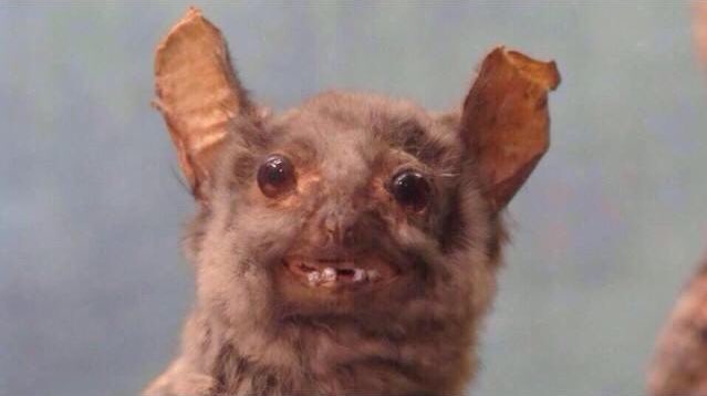 Jami_Rae's tweet photo. This is me in the morning, before I put on my makeup. lol πΉππππππππ #N2M4 ππ https://t.co/yrpERoqeYr ππ https://t.co/fTEUV1VBrD