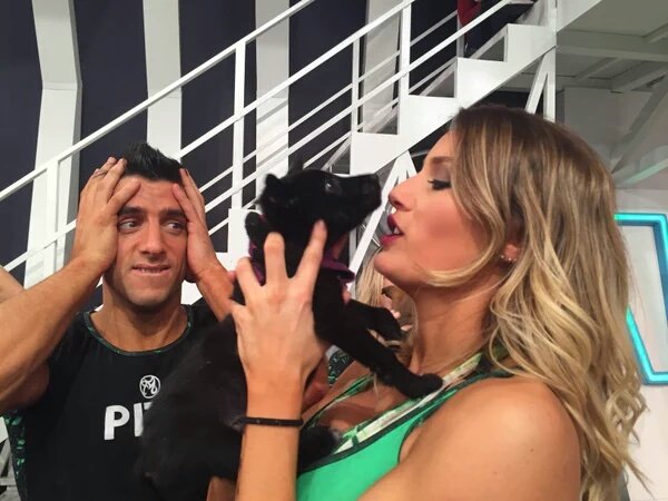 justmicaela_'s tweet photo. Cuántos RT para ellos?

 Mi Deseo Es Verte Feliz Pitu

#LaPasionEsTuMejorVirtudMica https://t.co/avgco4QO06