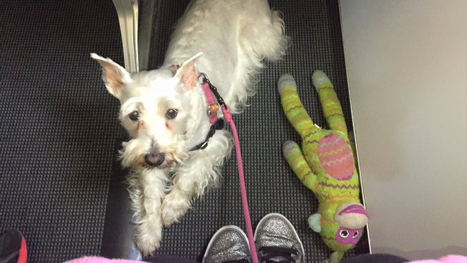 @stunningsummer I miss you !!! When are you coming to LA. Miss Weefer misses you too https://t.co/vb<a class="tags" target="_blank" title="On Twitter" href="/?out=eyJ0eXAiOiJKV1QiLCJhbGciOiJIUzUxMiJ9.eyJpYXQiOjE3MjE4MDE4OTYsImlzcyI6InR3cG9ybnN0YXJzLmNvbSIsIm5iZiI6MTcyMTgwMTg5NiwiZXhwIjoxNzUzMzM3ODk2LCJyZWRpcmVjdF91cmwiOiJodHRwczovL3R3aXR0ZXIuY29tL3N0dW5uaW5nc3VtbWVyIn0.c5t3eWAtRgtmaeQggkmBonPu75B_Kf_tQMZAQ3qbRZ3zZHTLpHBWrrumdYoeCYX6ETX4UwumS5eaMob4ZLKnQg">@stunningsummer</a><a href="/tag/acefrehley"class="tags"><span>#acefrehley</span></a>