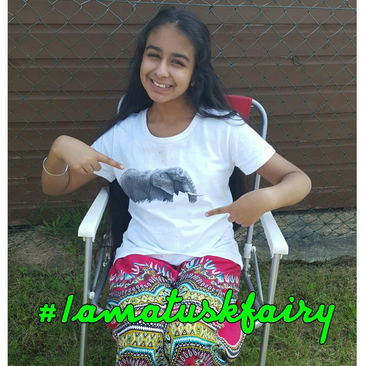 Supporting our wildlife. #Iamatuskfairy #WorldEnvironmentDay #WorthMoreAlive #DSWT