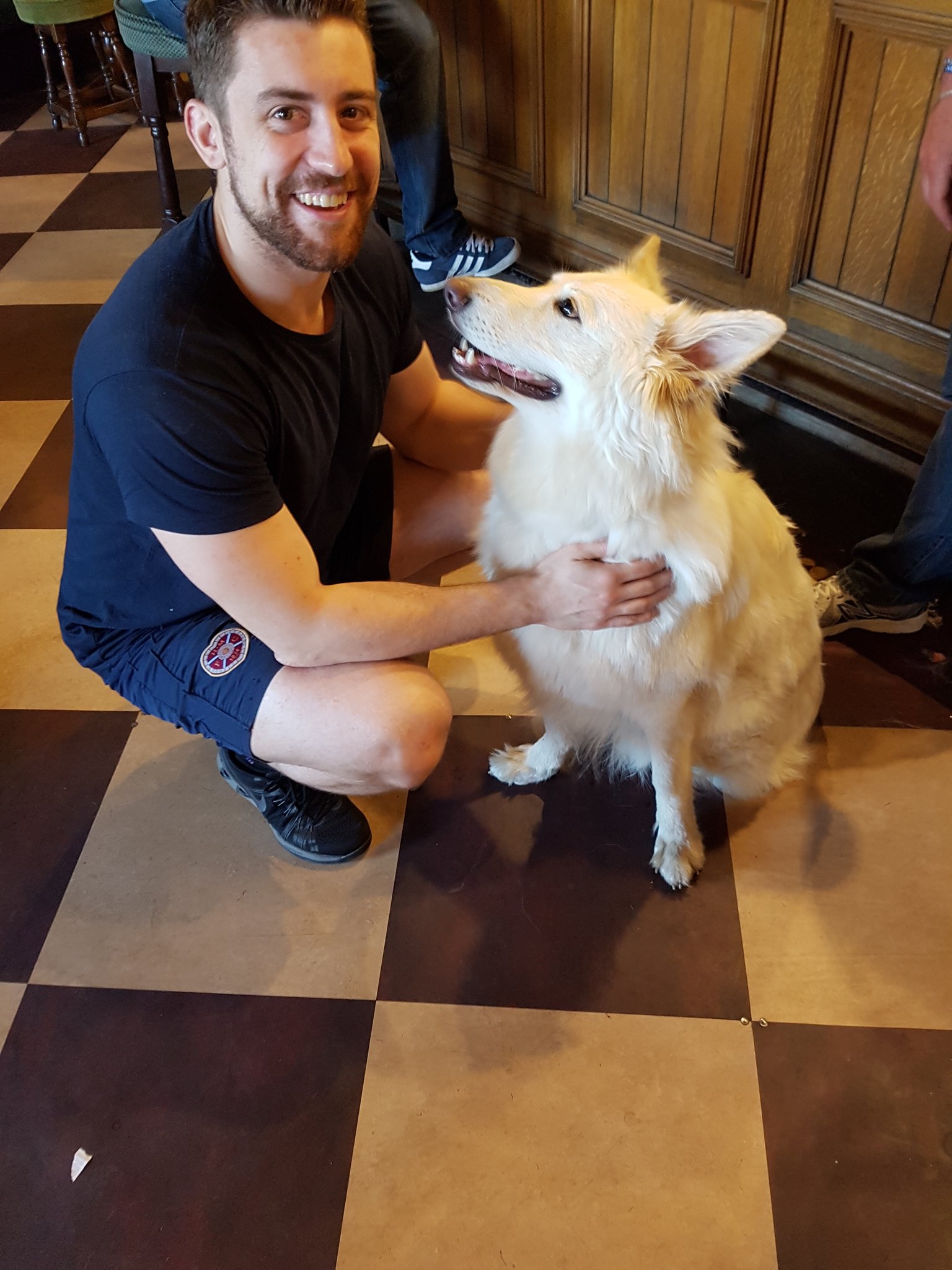 Joe Hendry on Twitter "Selfies with a dog. hypocrite LionheartUK