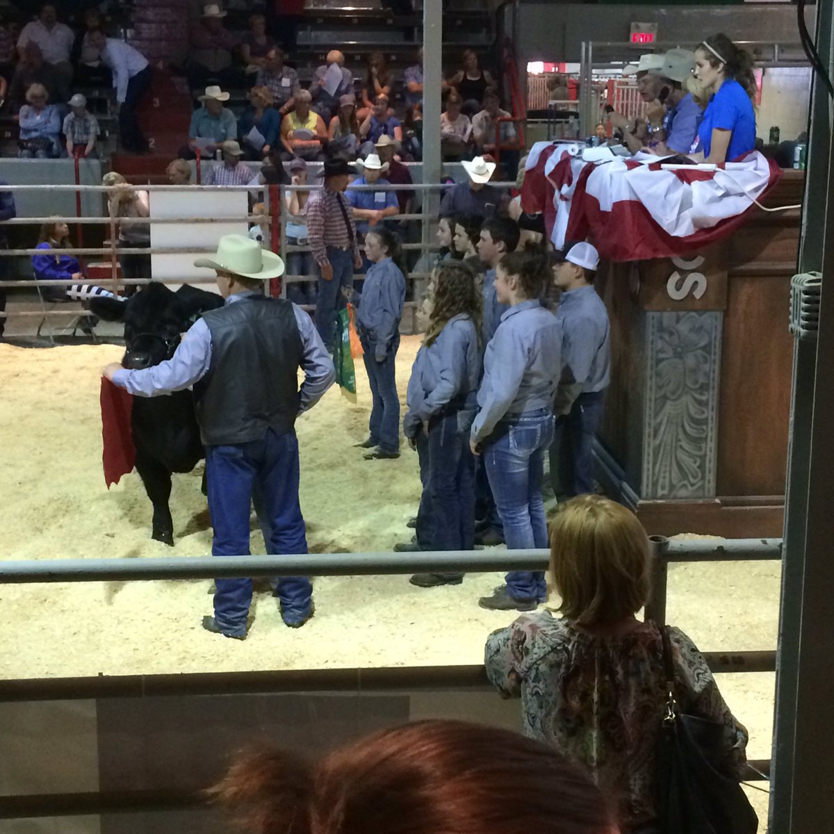 KNess621's tweet photo. Congrats to Kylie Sibbald with grand champion steer at #4honparade2016 bought by Long Tubing Inc. 7.50/lbs. https://t.co/e8gt5fwD2u