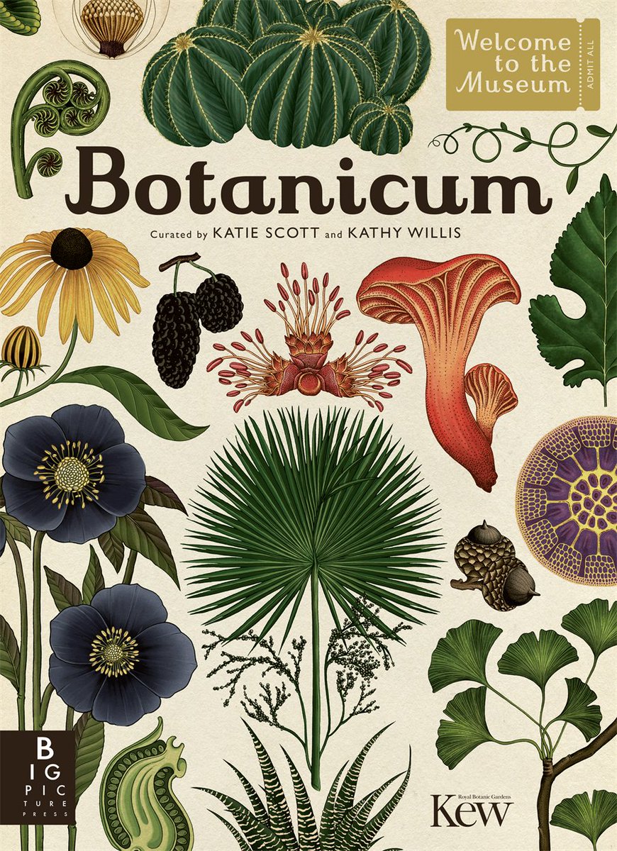 templarbooks's tweet image. RT @BigPicturePress We&apos;ve been sharing sneak peeks of Botanicum this weekend, take a look at this beautiful book 👇
