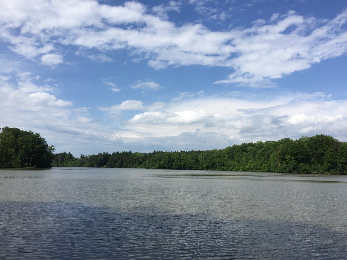 Rachel S tweet media