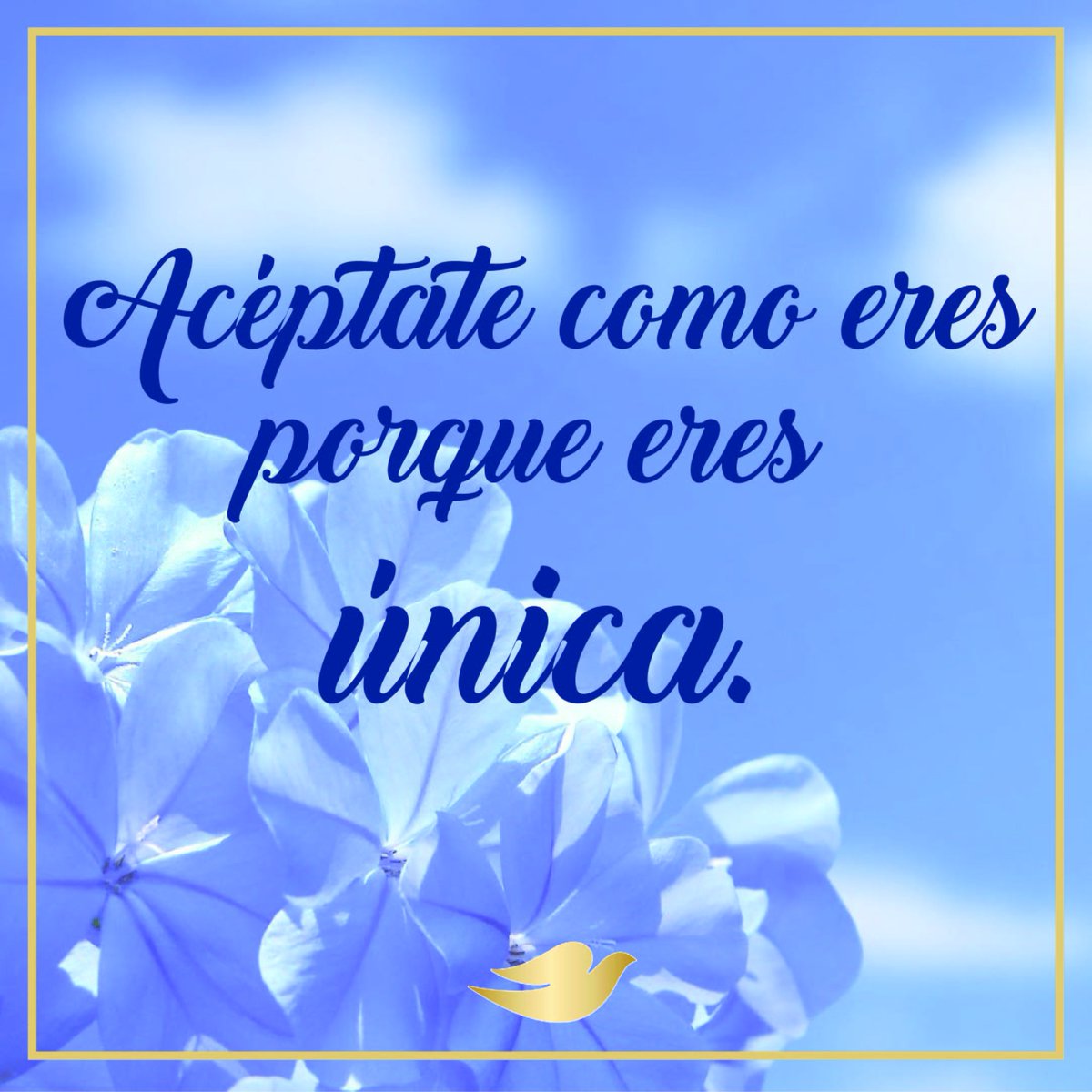 DoveChile1's tweet photo. Sentirse linda es una decisión personal que cada mujer debería ser capaz de tomar por sí misma, todos los días. https://t.co/yzRatWU22o
