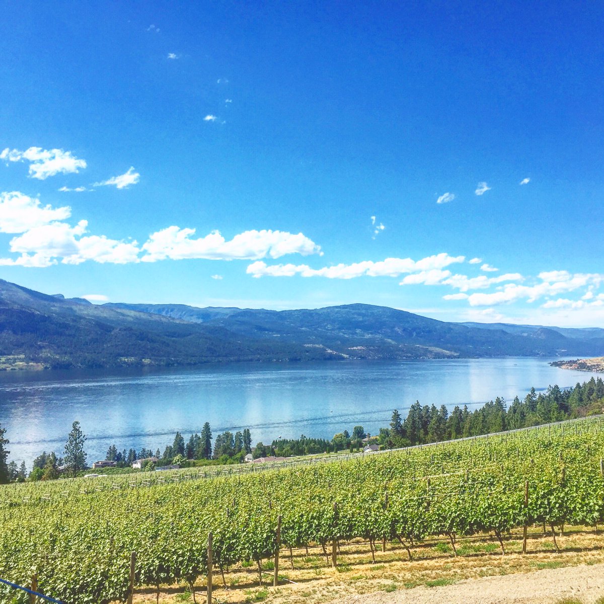 Wine country