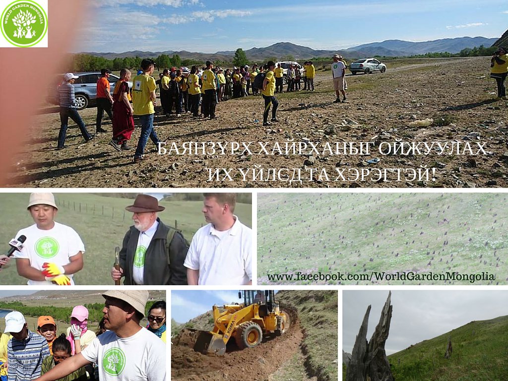Ширхэгч модгүй болтлоо шуналд хяргуулсан БАЯН ЗҮРХ хайрханаа ойжуулах ТҮҮХЭН ИХ ҮЙЛСД СЭТГЭЛЭЭ ӨРГӨӨРЭЙ