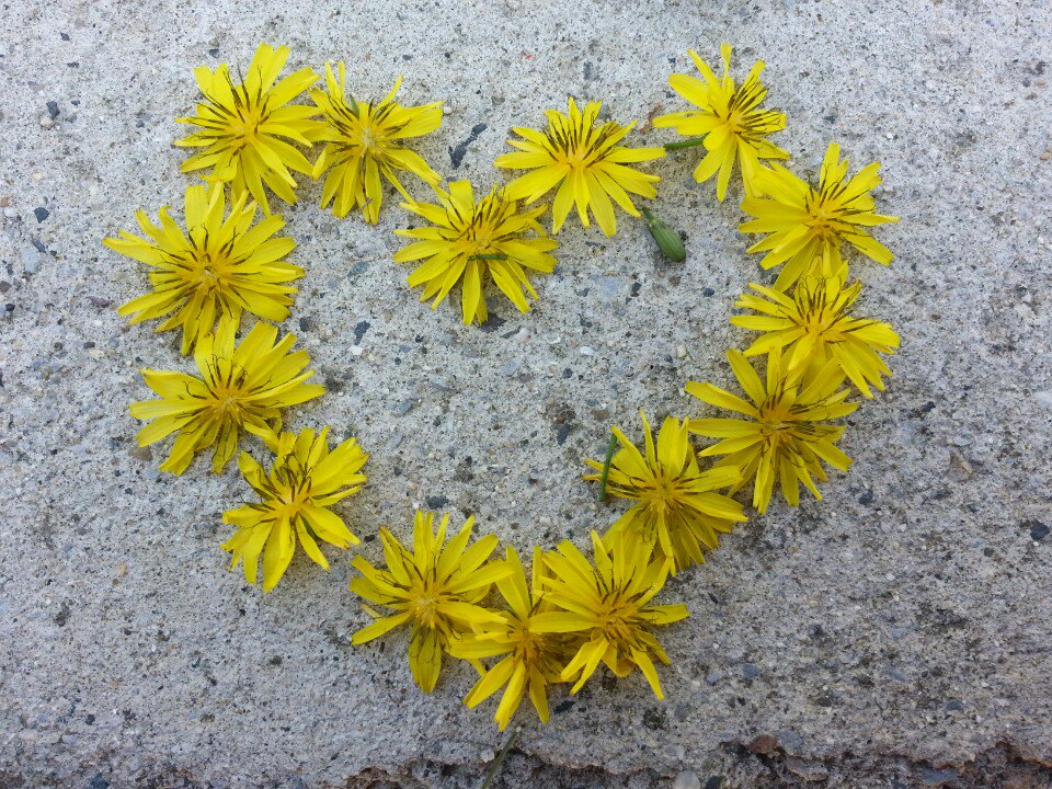 진정한 사랑이란?

사랑은 이유를 묻지않고 

아낌없이 주고 

혹시 
모자라지 않나 

걱정하는 것 입니다