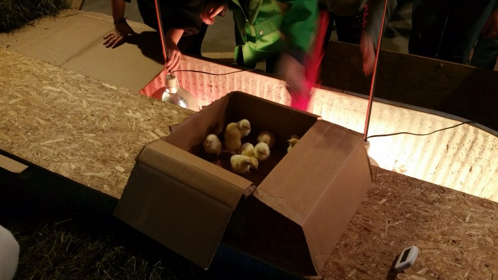 Ellsworth FFA tweet media