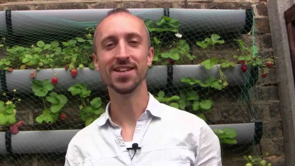 ourgardenclub's tweet photo. Feeding Your Plants for Free - How to Make Fertilizer for ... - #GardenHowTo - https://t.co/MLhdoqWELr - https://t.co/Qwtz5kt2xR