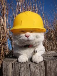 PerryMasterson's tweet photo. @TheMetamancer"Hi,heard you could use a Paw!My cousin's in Roof-ing!" :) #WillWorkForKibble #SafetyFirst #NapsSecond https://t.co/E0ryblXtwb