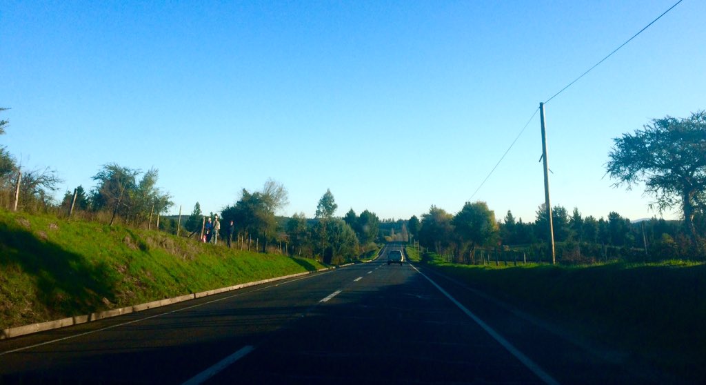 NieblaProd's tweet photo. Fin del segundo día de carretera en búsqueda de las locaciones de #GreenGrass en la Región del #BíoBío. ✊🏻🌳🌊 https://t.co/1QrxWf1Nhu