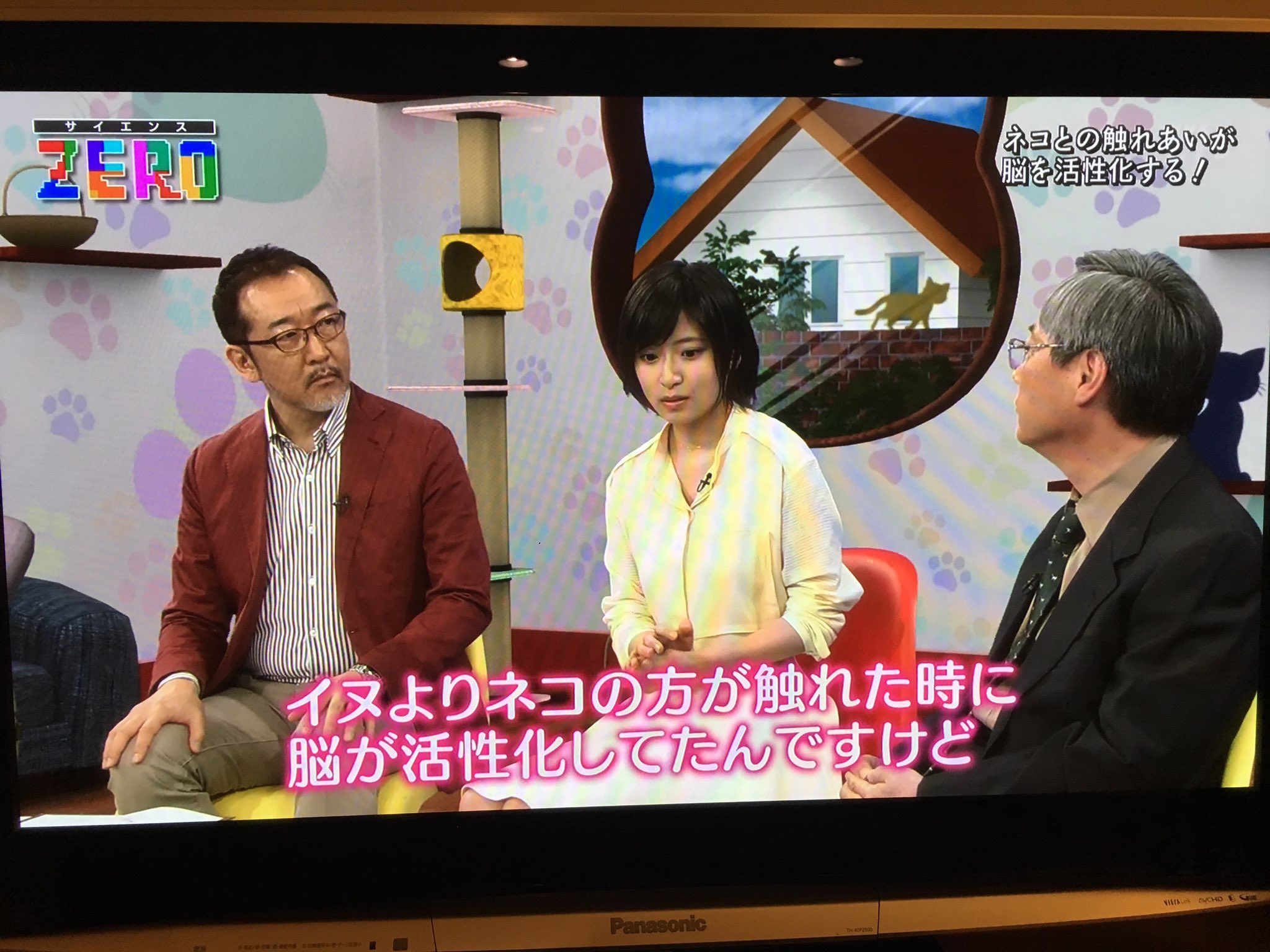 桃ちゃん 必見です サイエンスzero ニャンとびっくり 科学で探る ネコとヒトとの優しい関係 ｅテレ 6月11日 土 昼0時30分 T Co Ayjy1evzqp T Co Be0wnepfr9 Twitter