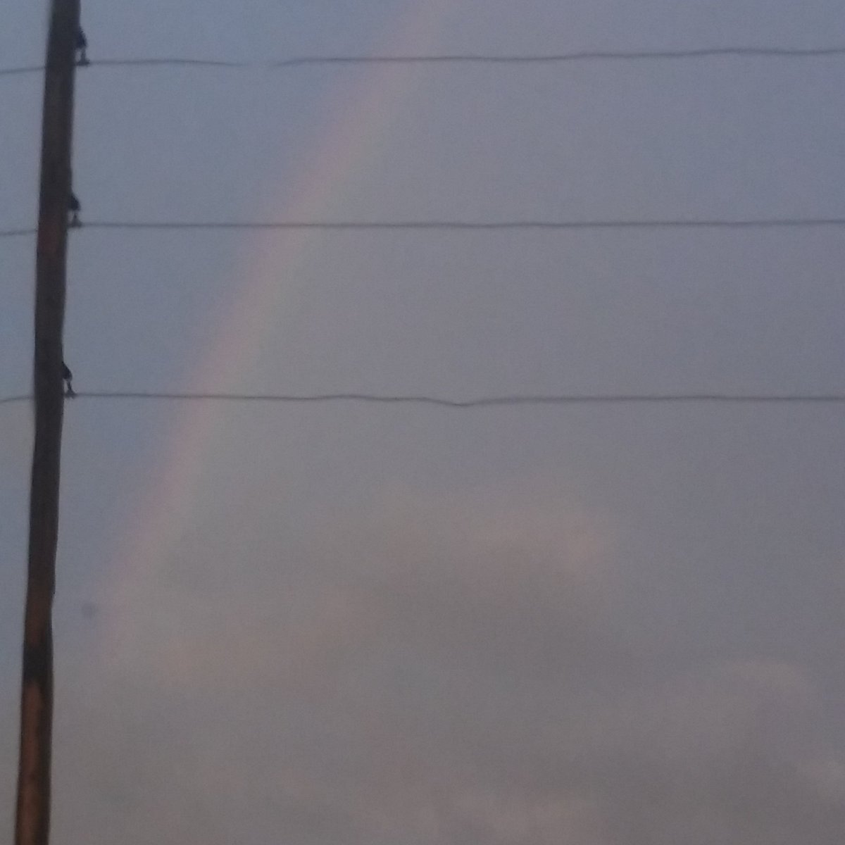 FHGCMInc's tweet image. #SignsOfGod #HisWord #HisPromises #HeIsWorthy