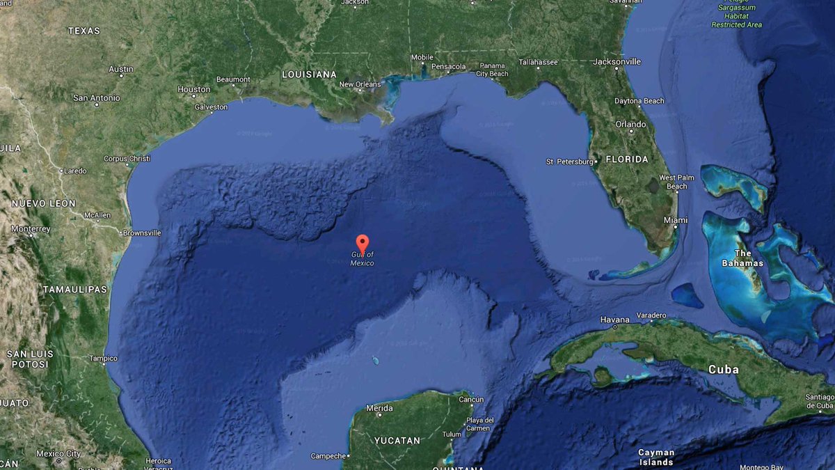 _dwake_'s tweet photo. "@CP24: Tropical Storm Colin forms in Gulf, speeds toward Florida https://t.co/VzAWaeMJLf https://t.co/10ZqiPdMmp" @colinNcaviar