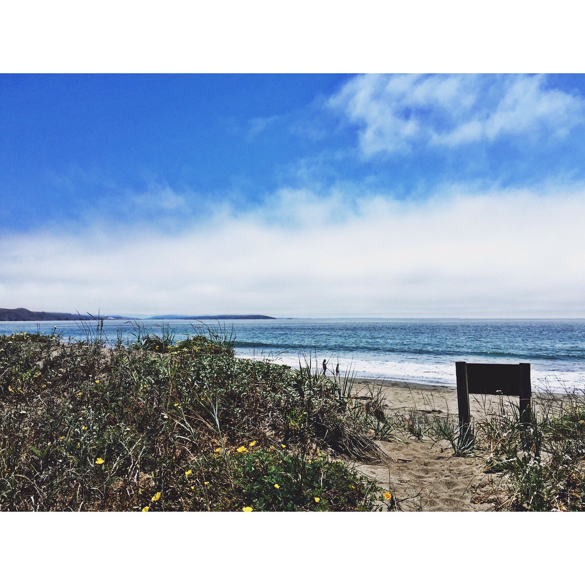SRSSport's tweet photo. S U N D A Z E ☀️ F U N D A Z E 

#SundayFunday #SonomaCounty https://t.co/er0UlmP05N
