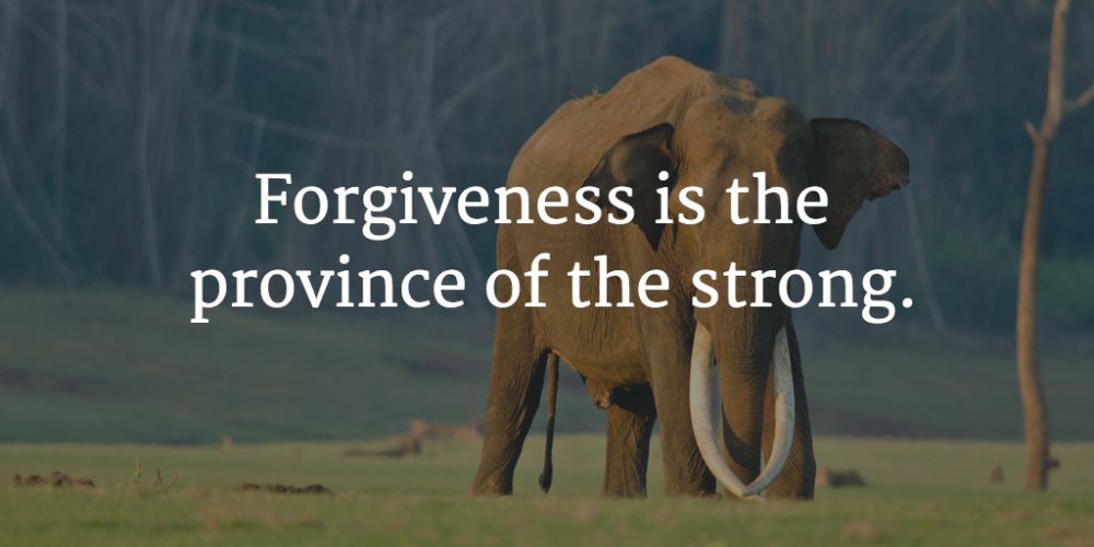 presidelife's tweet image. Live there, in strong company, and let us heal the world together. #mindfulness #wellness