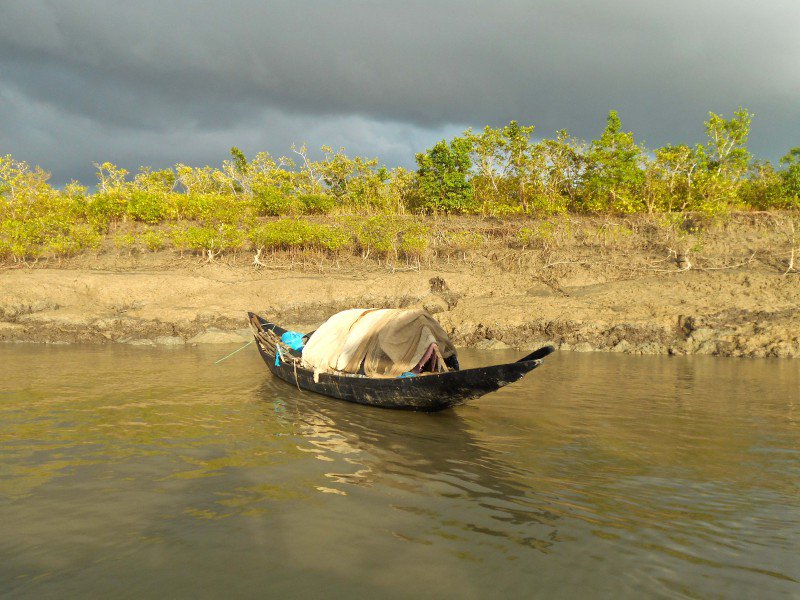 BongBlogger's tweet image. bongblogger.com/sundarban-unes…  #Sundarban #tigerconservation #UNESCOWorldHeritageSite #travel #photography #wildlife