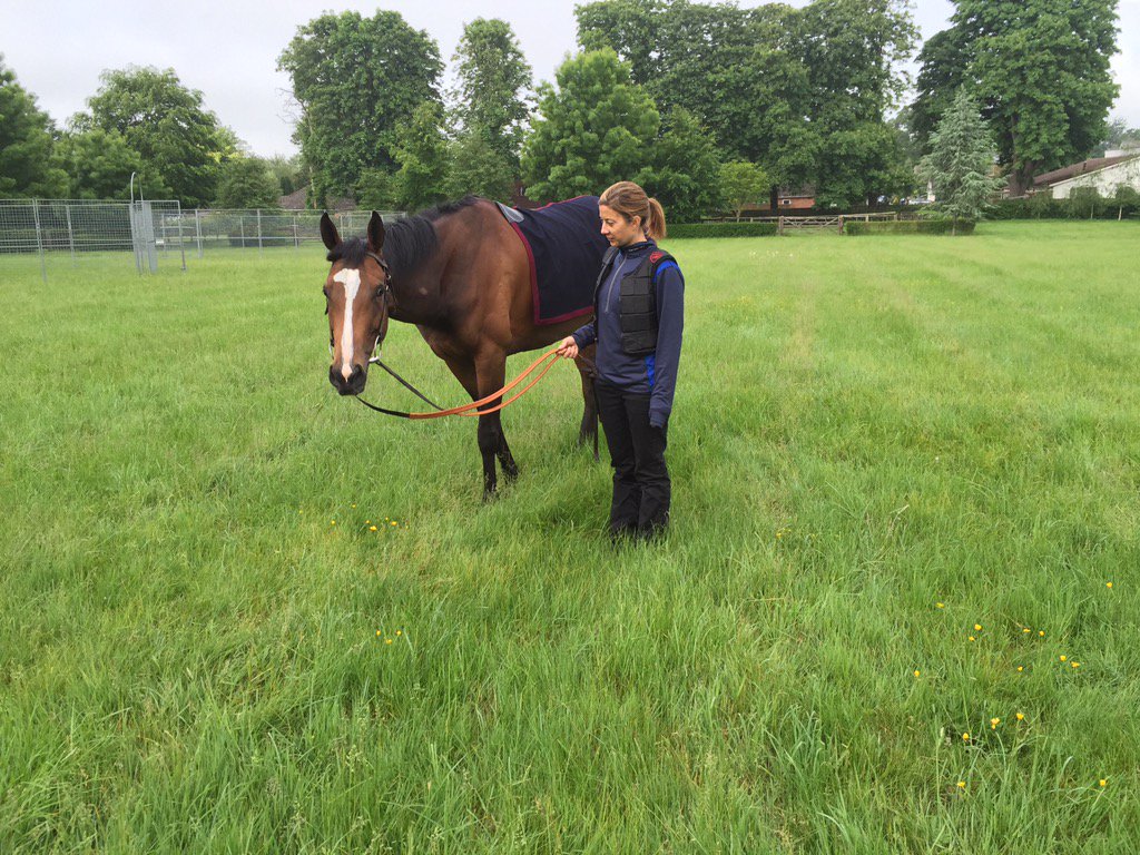 #SpiritRaiser enjoying a pick this morning with <a href="/Hayleyturner123/">Hayley Turner</a> .