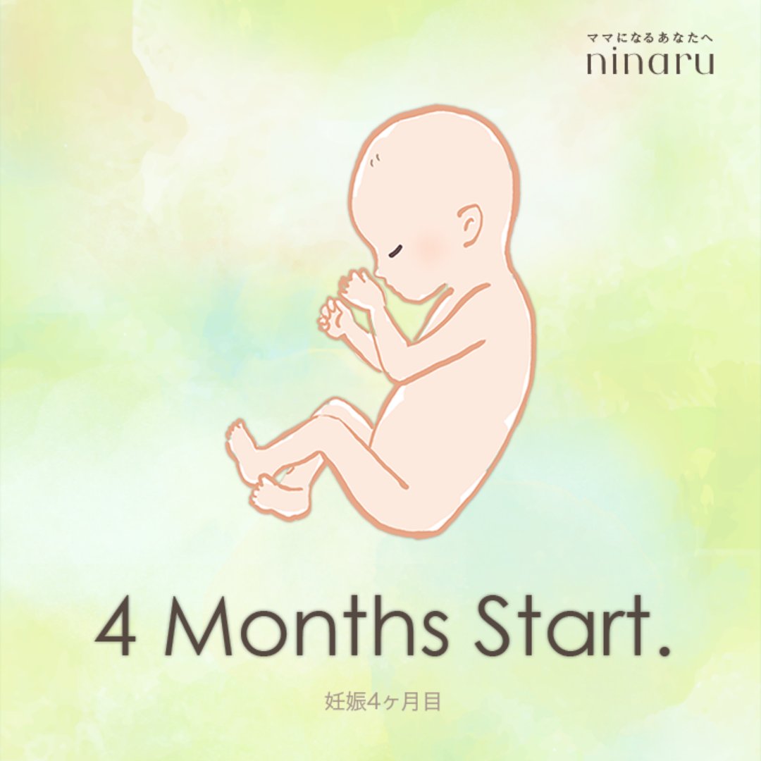 妊娠4ヵ月 Twitter Search Twitter 妊娠4ヵ月 Twitter Search Twitter