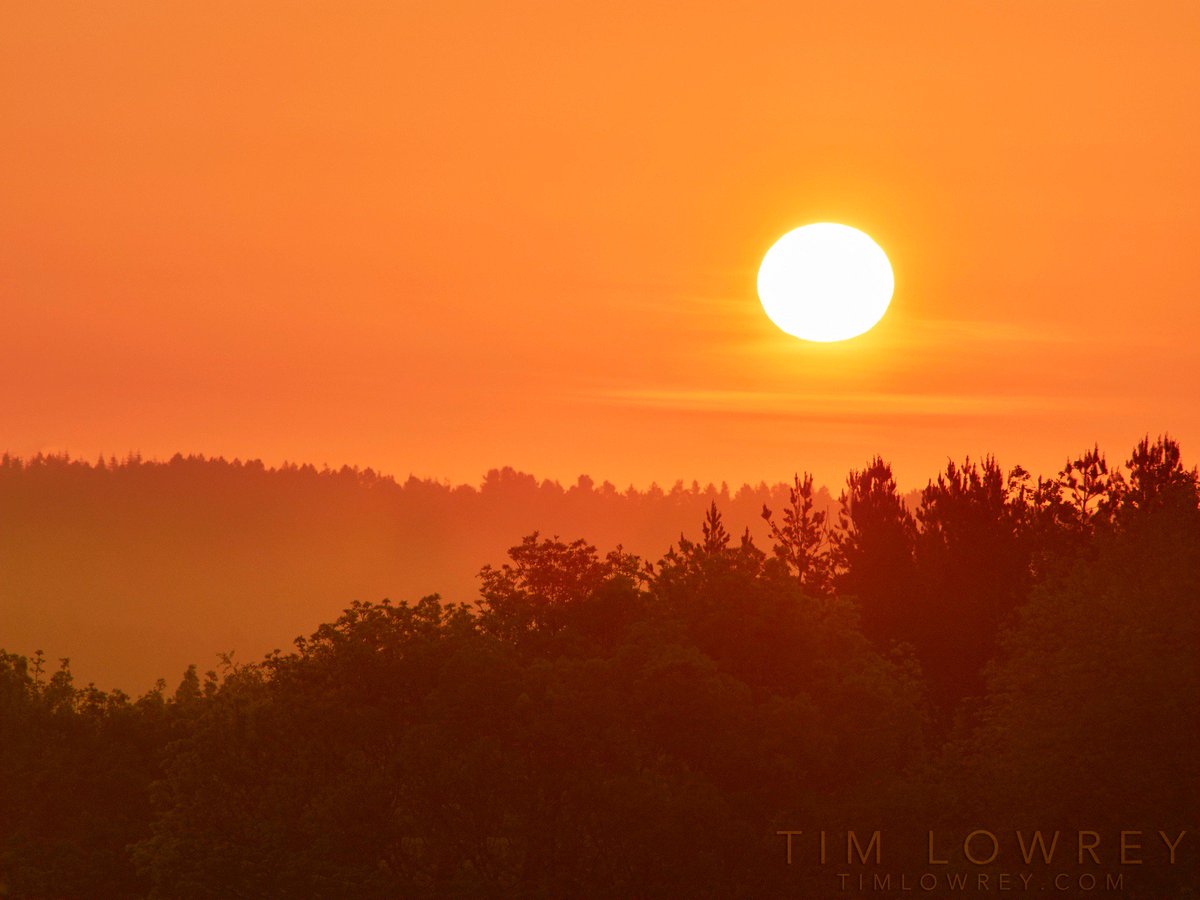 TimLowrey's tweet photo. Beautiful #countydurham #sunrise this #morning #olympus #em5mk2 #olympusprolens
@olympusUK @getolympus @ThisisDurham https://t.co/pi3ISweRV5