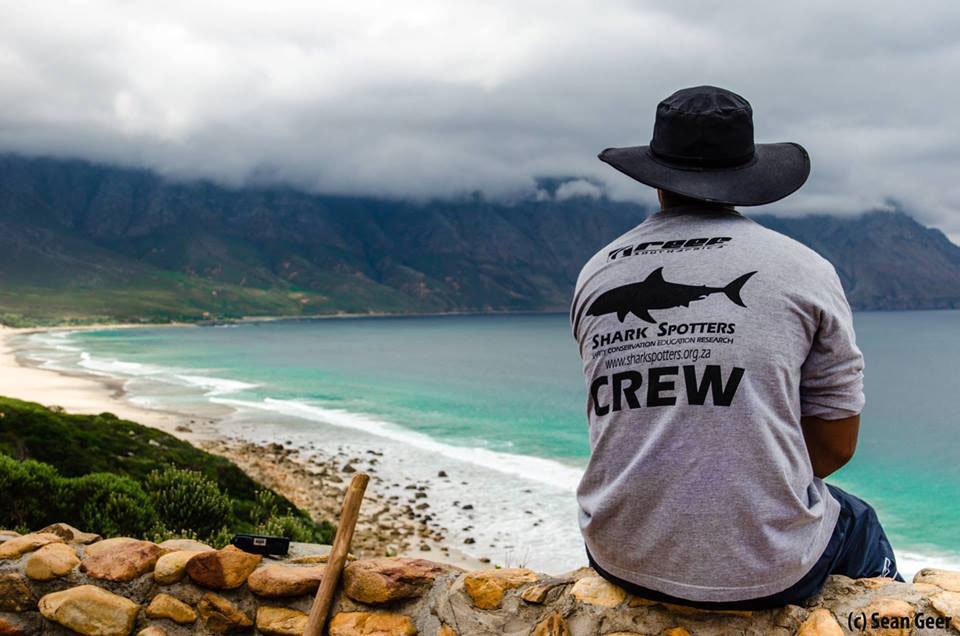 BulkSMS's tweet photo. #SMSshortcodes can be used as donation lines. Read about how @Sharkspotters are doing it: https://t.co/bpfpq79I3y https://t.co/k3dl1u5EV9
