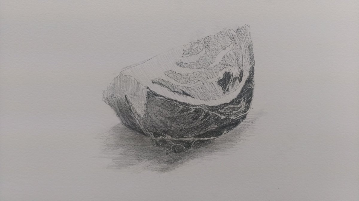 ট ইট র コ ヤ マ イッ セ ー 紫キャベツの下側は光があまり当たらないので暗く しかも紫色を白黒に置き換えた場合かなり黒に近くなるので思いきって強めの黒 陰影 をのせて行きます デッサン 陰影のつけ方 明度