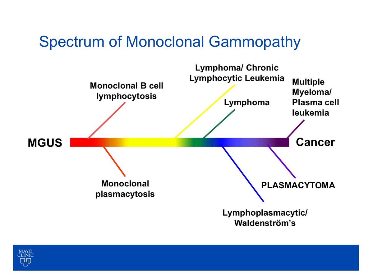 How is monoclonal paraproteinemia related to leukemia?