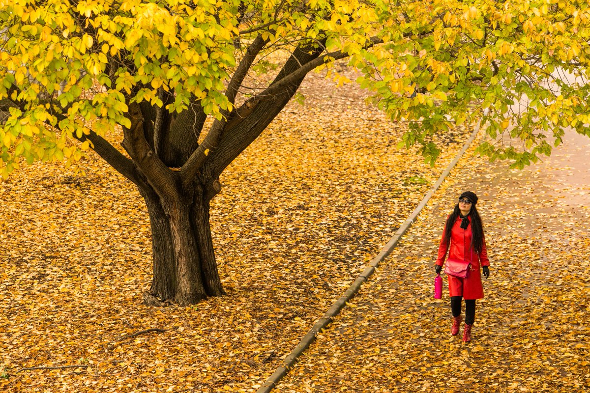Winter glory at Kings Domain today. Photo by Jason South <a href="/southey70/">Jason South</a> 
#melbournewinter #kingsdomain